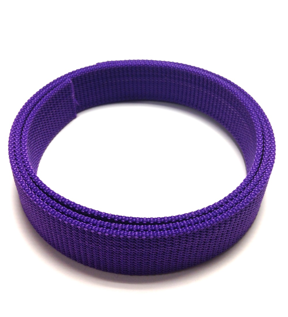 C21G - Ceinture sangle violette pour boucle