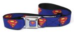 Ceinture Licence Superman bleu