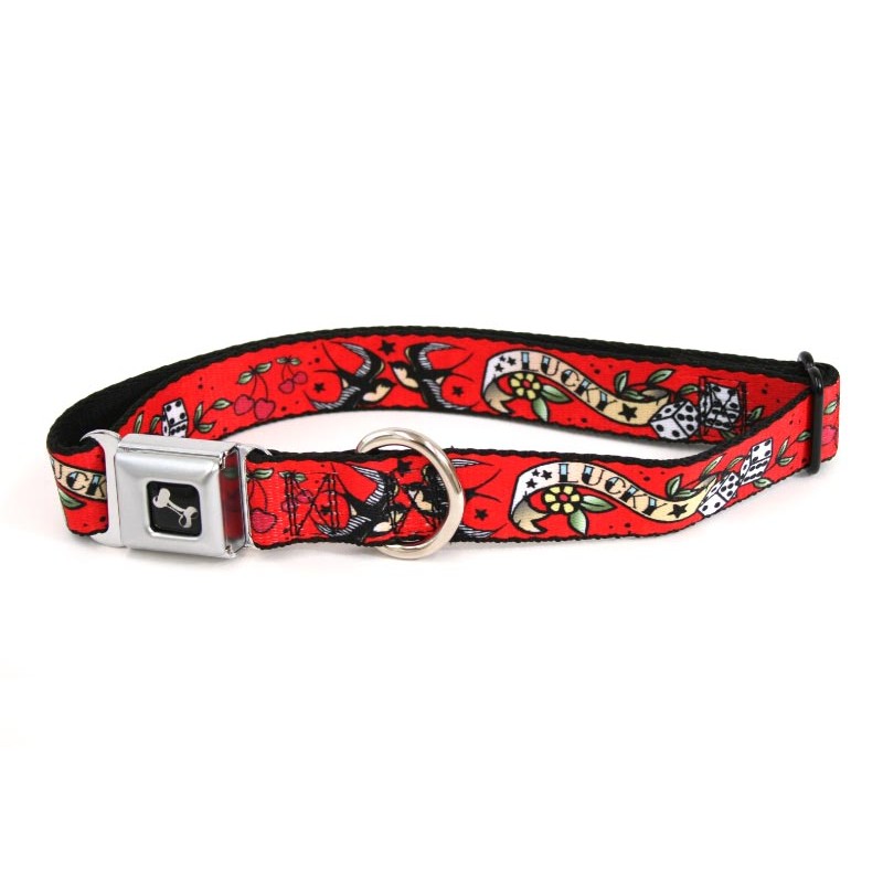 Collier pour chien Lucky